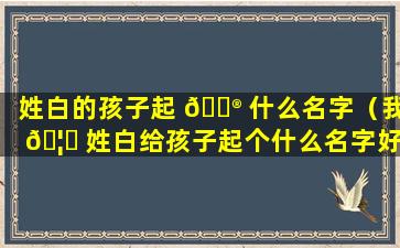 姓白的孩子起 💮 什么名字（我 🦊 姓白给孩子起个什么名字好）